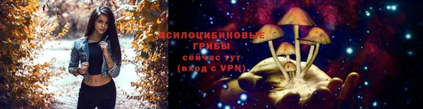 стафф Армянск