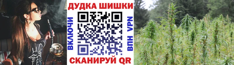 Канабис Amnesia  Купить закладки  Яровое 